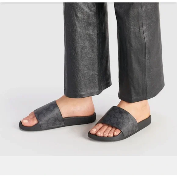 Coach slides - Picture 4 of 4